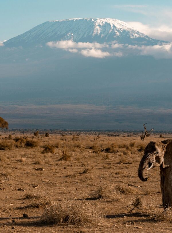 Amboseli national park 1