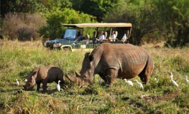 Conservation Heart: Ol Pejeta Safari