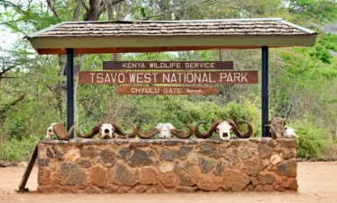 Volcanic Landscapes: Tsavo West Safari